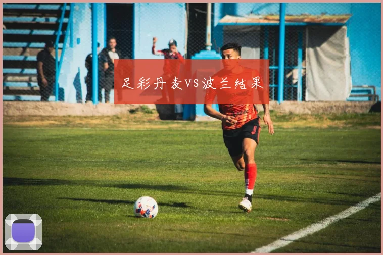 足彩丹麦vs波兰结果