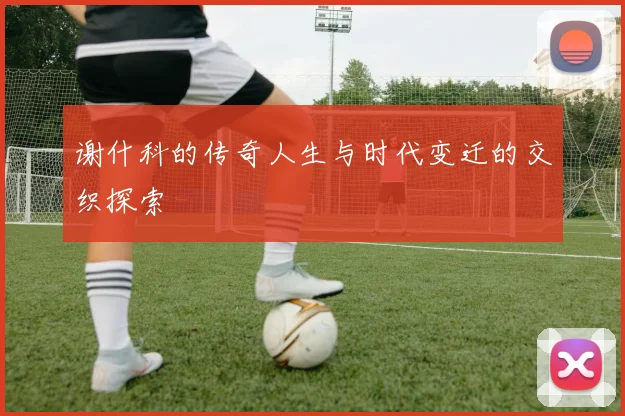 谢什科的传奇人生与时代变迁的交织探索