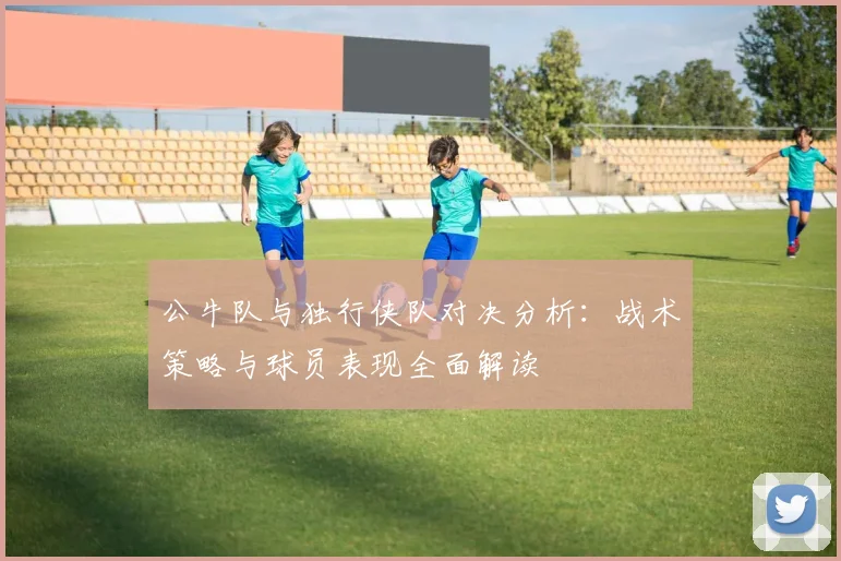 公牛队与独行侠队对决分析：战术策略与球员表现全面解读