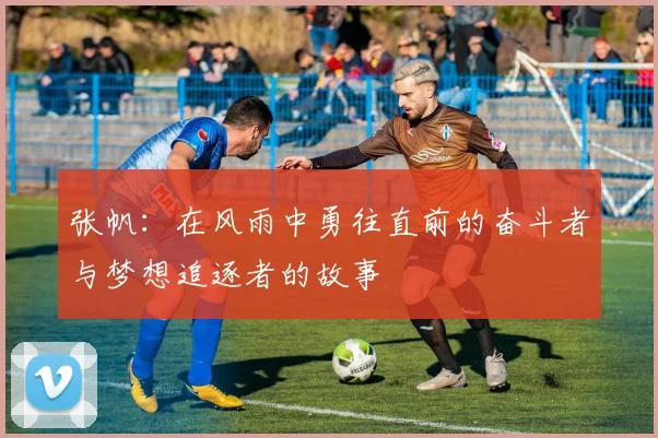 张帆：在风雨中勇往直前的奋斗者与梦想追逐者的故事