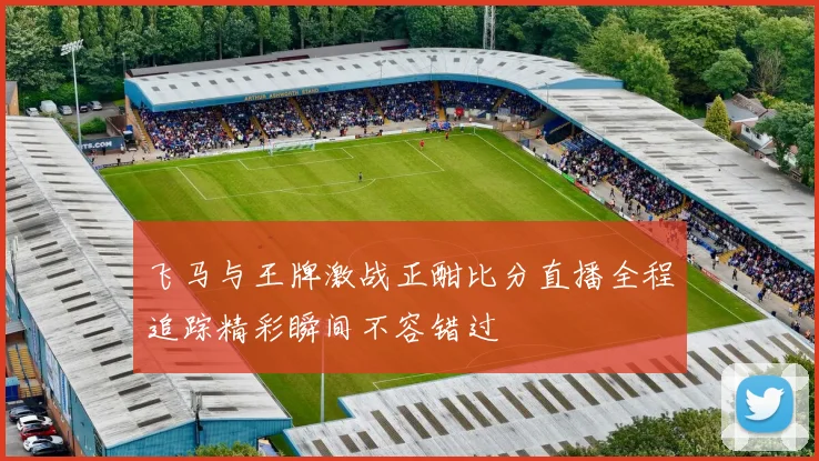 飞马与王牌激战正酣比分直播全程追踪精彩瞬间不容错过