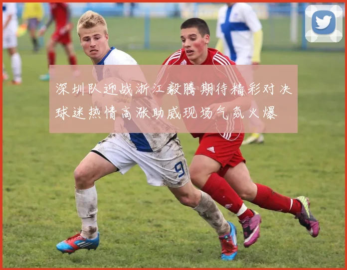 深圳队迎战浙江毅腾期待精彩对决球迷热情高涨助威现场气氛火爆