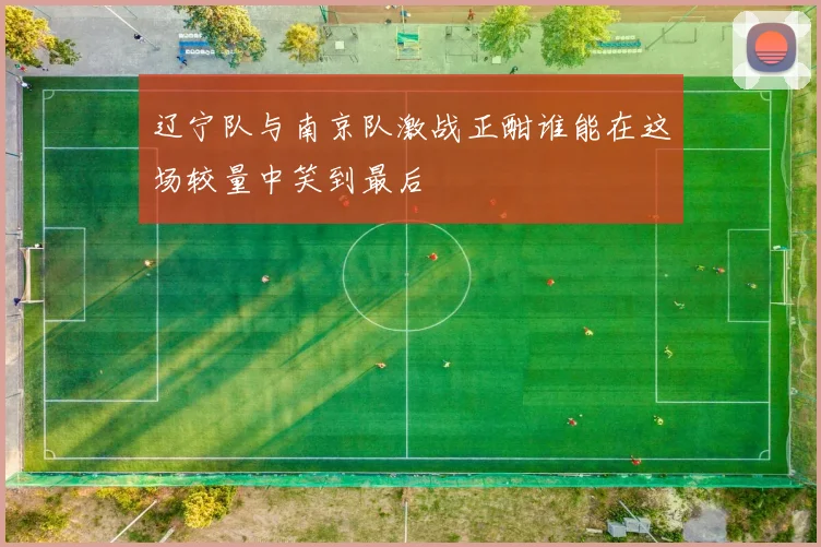 辽宁队与南京队激战正酣谁能在这场较量中笑到最后