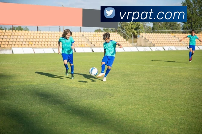 333体育APP 封面图